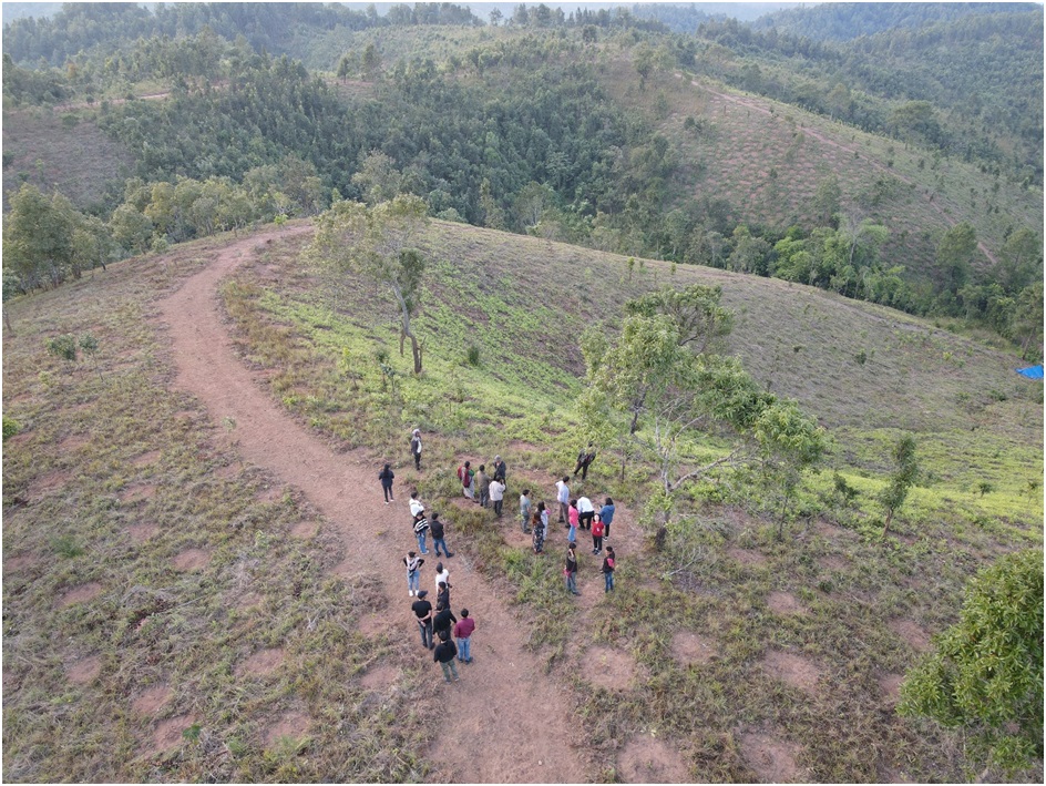 A Green Revolution: The Success Story of Sylleibah Plantation Area